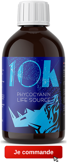 bottle 10k